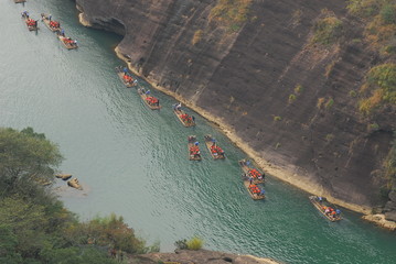 生物冷知识高中