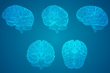 外地车进入兰州限不限号