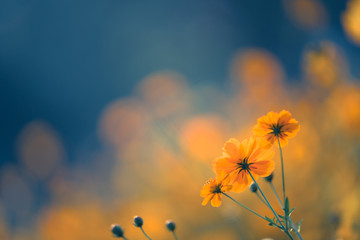 外地车进入兰州限不限号