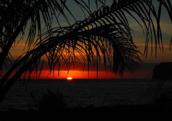 生物冷知识高中