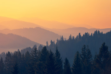 生物冷知识高中