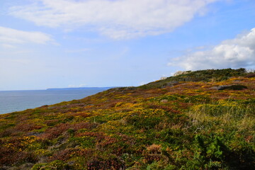 中国篮球有哪些比较少人知道的小知识？
