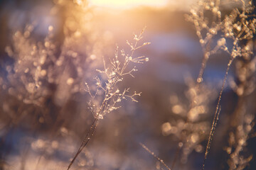 深圳周一至周五外地车牌限行时间