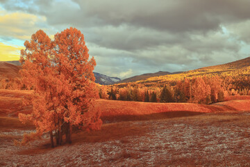 中国篮球有哪些比较少人知道的小知识？