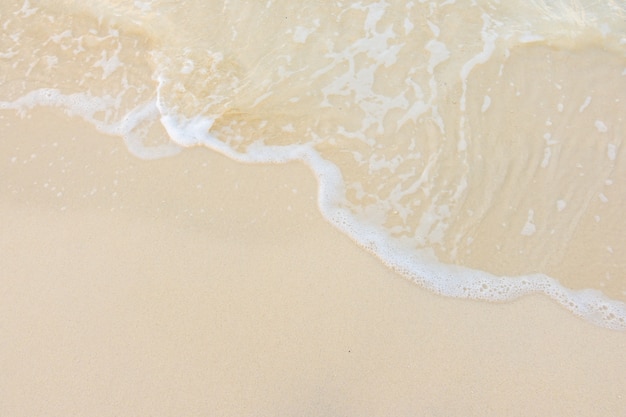 生物冷知识高中