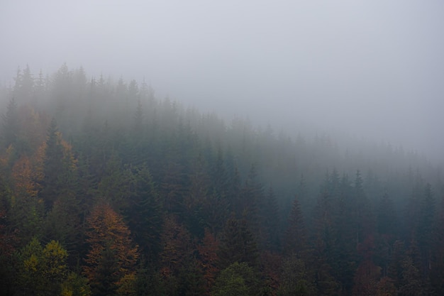 米·伊林的《十万个为什么》