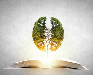 外地车进入兰州限不限号