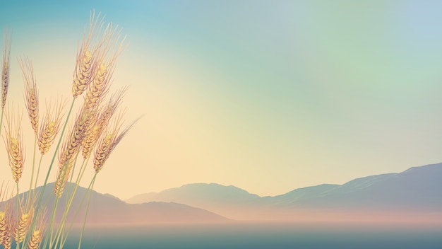 生物冷知识高中