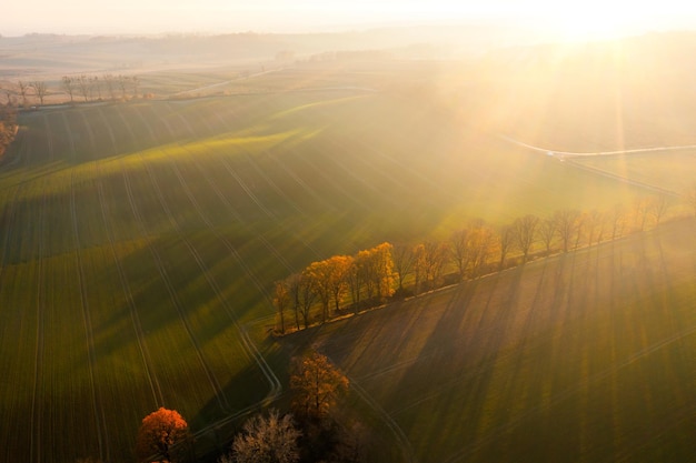米·伊林的《十万个为什么》
