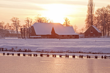 米·伊林的《十万个为什么》