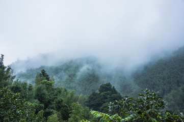 生物冷知识高中